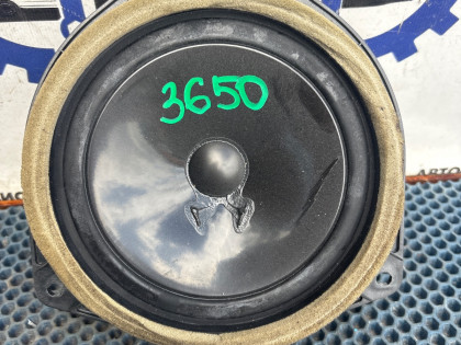 Динамик GWS191