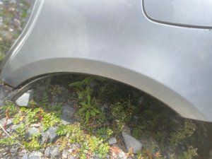 Крыло заднее левое LEXUS GS350 OEM 6161230A20 GRS191 2005